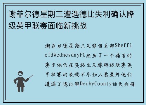 谢菲尔德星期三遭遇德比失利确认降级英甲联赛面临新挑战