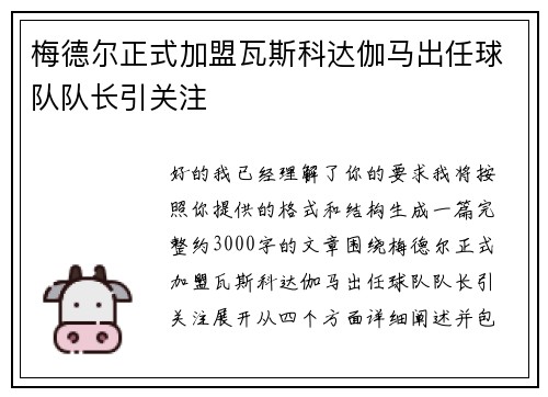 梅德尔正式加盟瓦斯科达伽马出任球队队长引关注