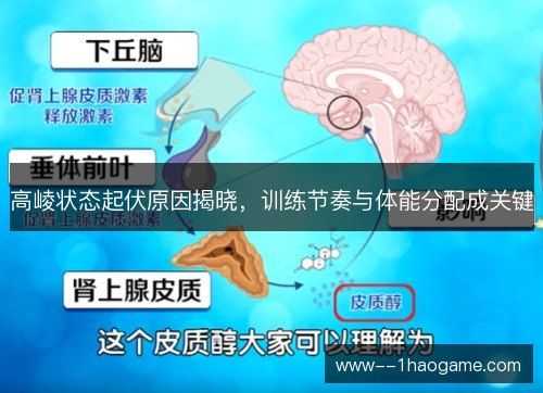 高崚状态起伏原因揭晓，训练节奏与体能分配成关键